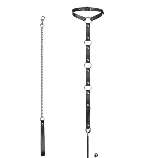 Anal Hooks EverydayUse Anal Kinky Collar Leash Hook with 5853 and 1007